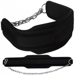 Dips Belts